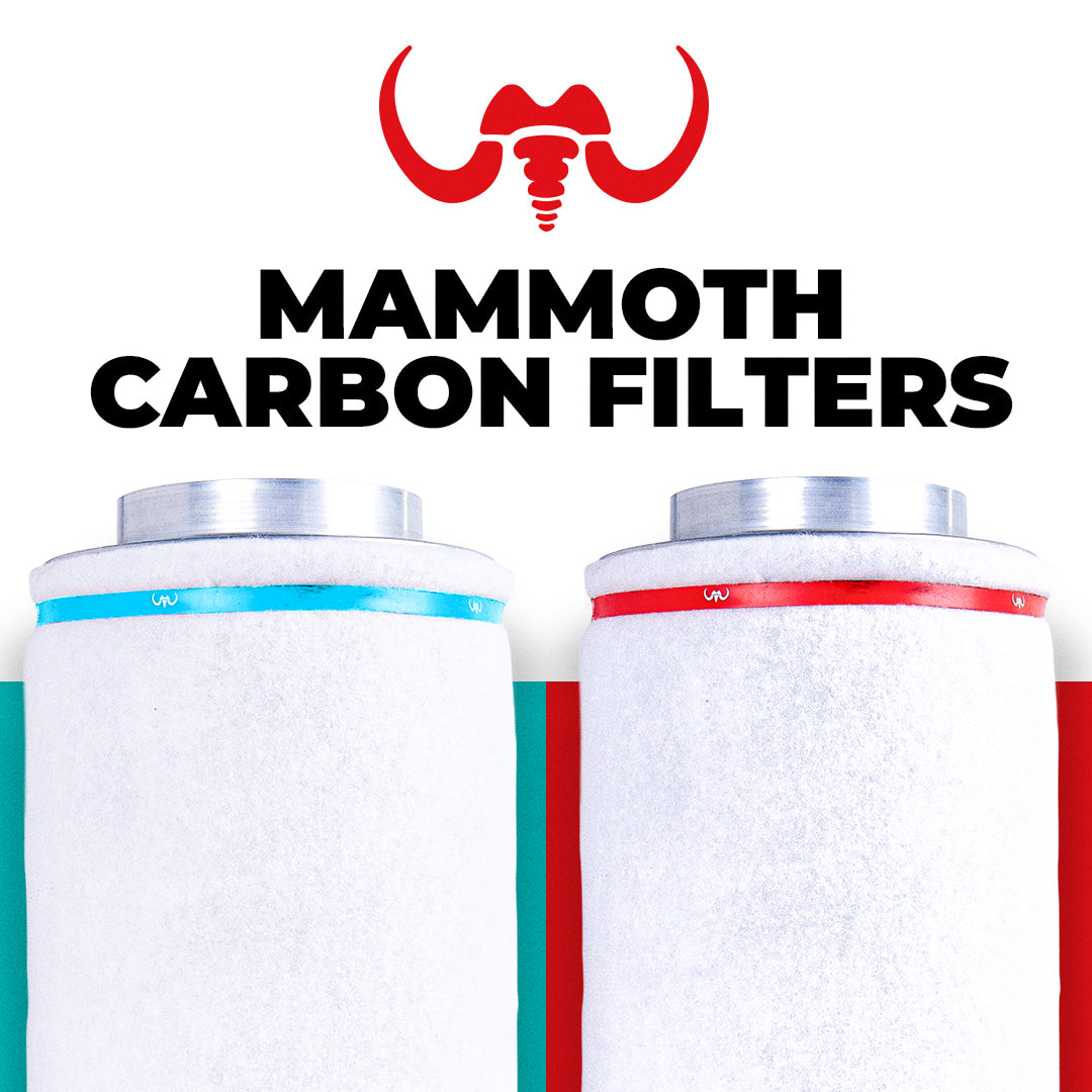 Mammoth Carbon Filters: Powerful Odour Control for Grow Rooms