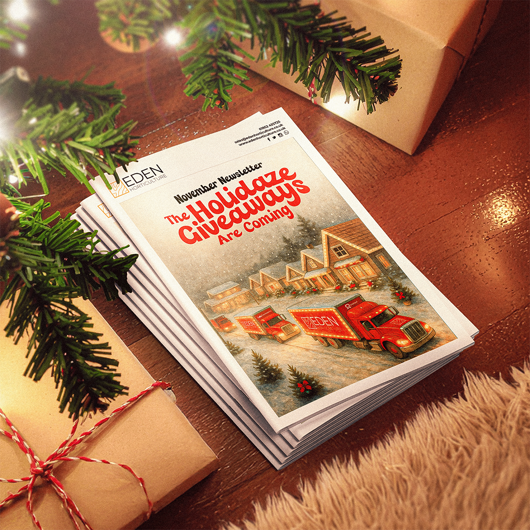 A pile of Christmas-themed Eden Horticulture November Newsletters under a Christmas Tree.