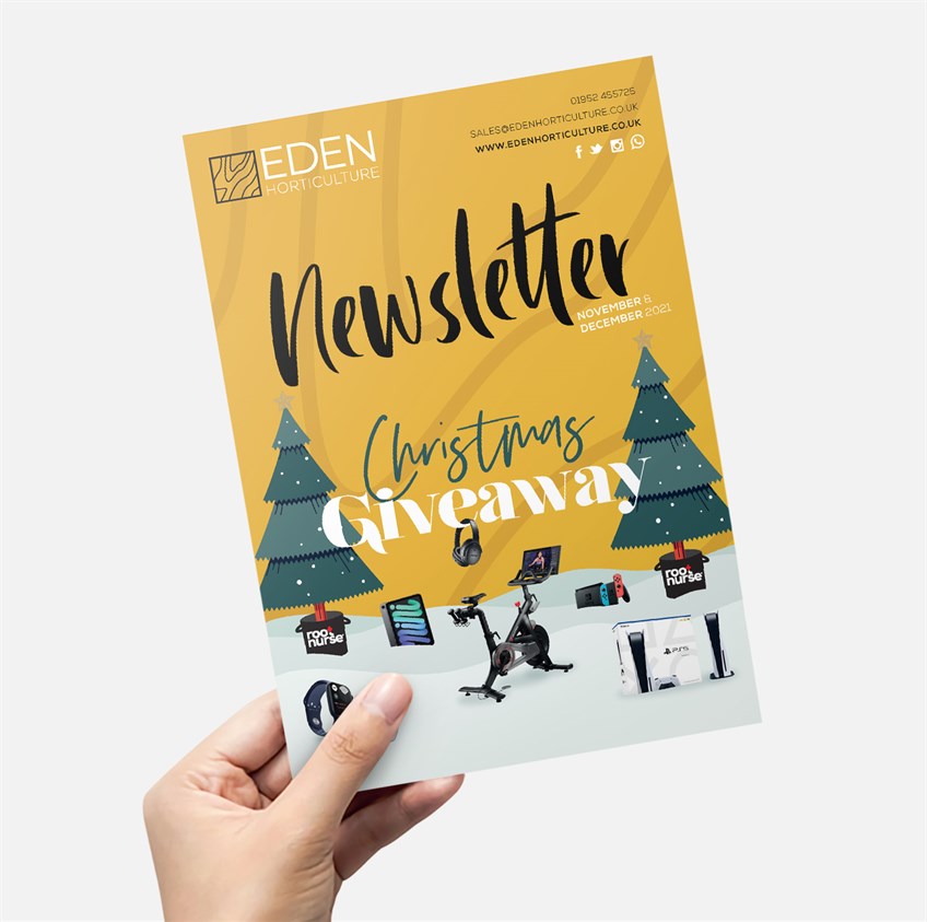 Eden's Christmas Newsletter