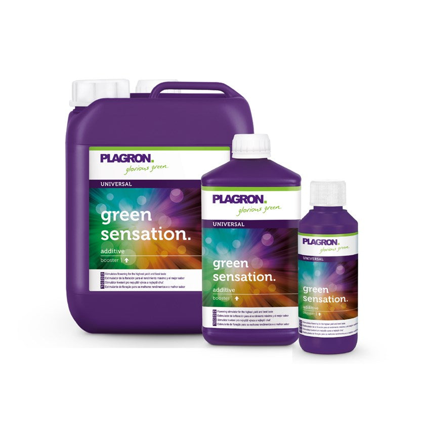Plagron Q&A