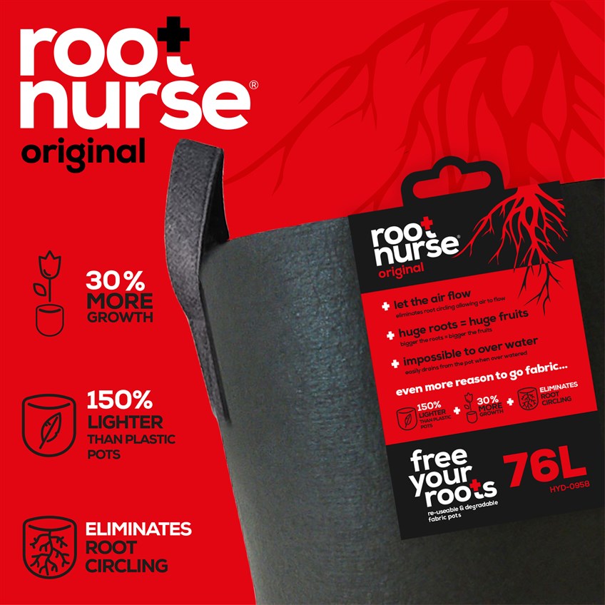 5 Redenen om voor Root Nurse te kiezen