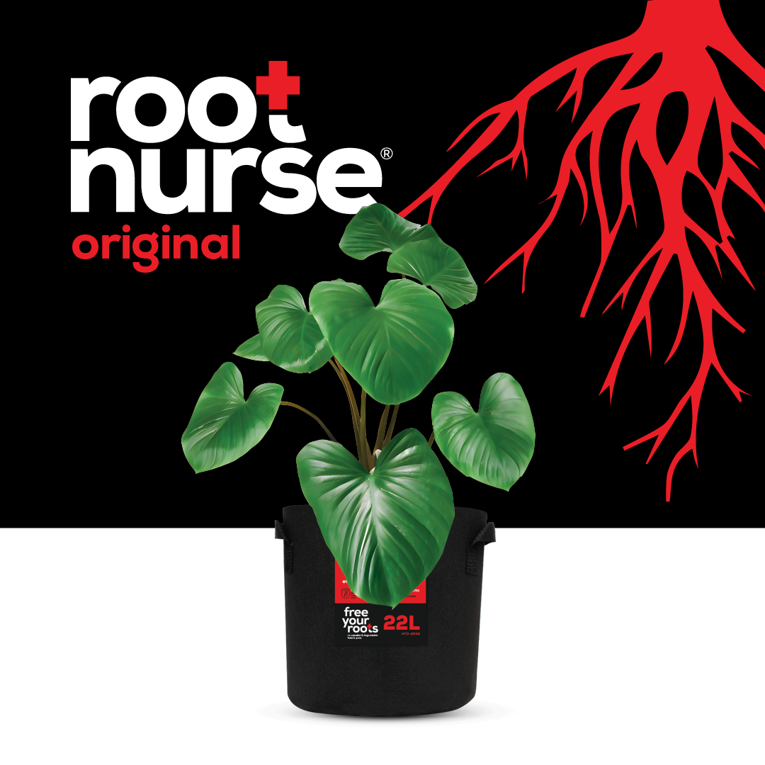 Root Nurse Black Pots