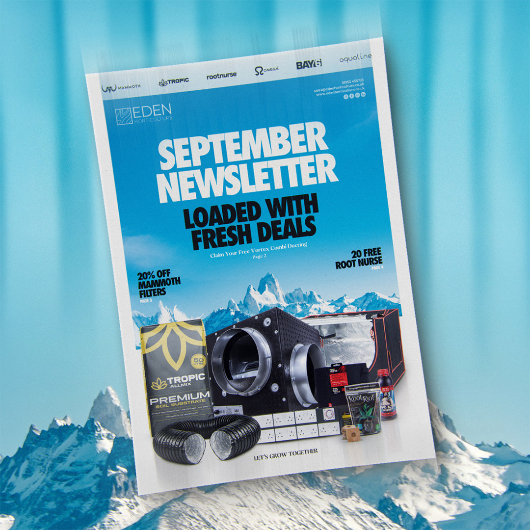 Eden's September Newsletter — Loaded with Fresh Deals.
