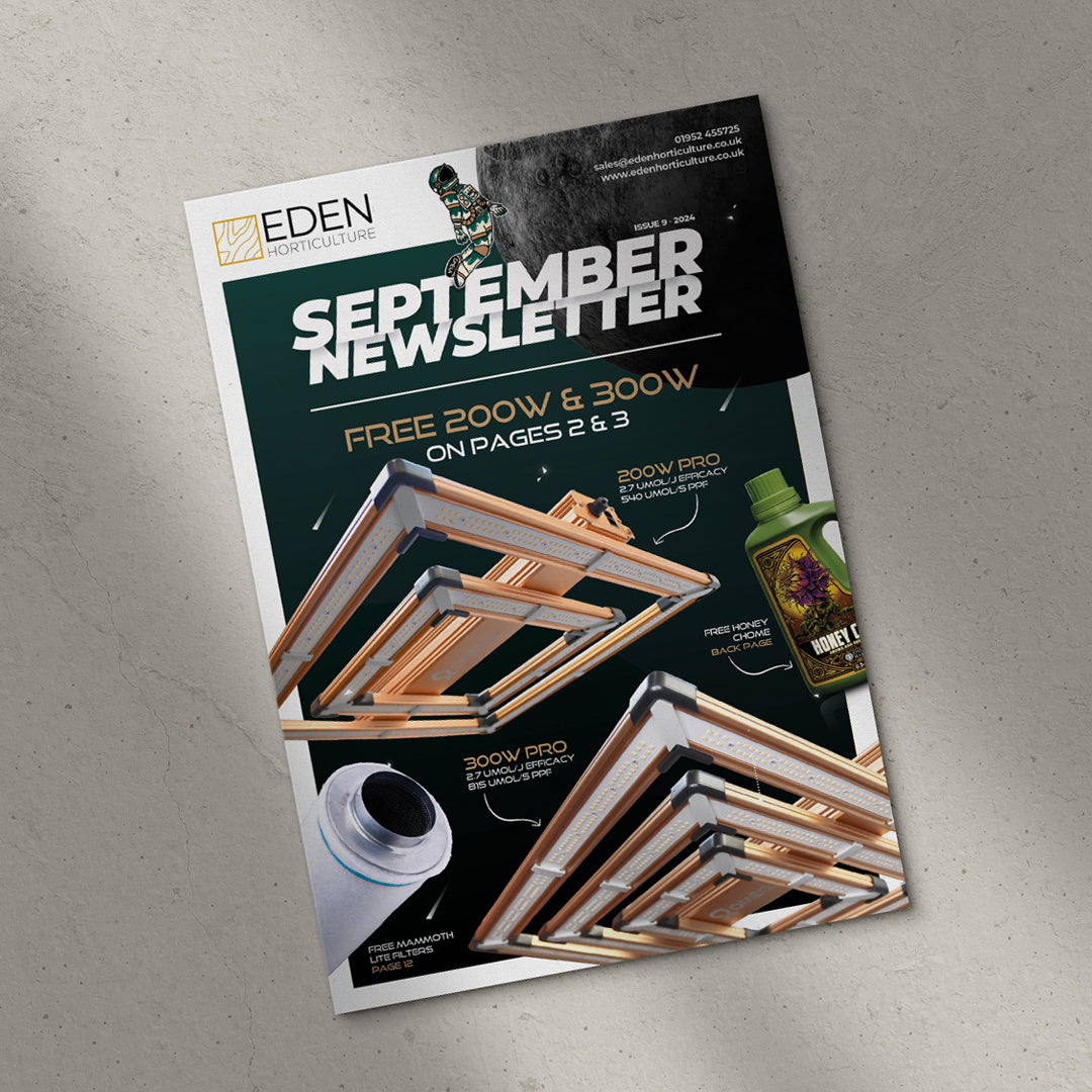 September Newsletter