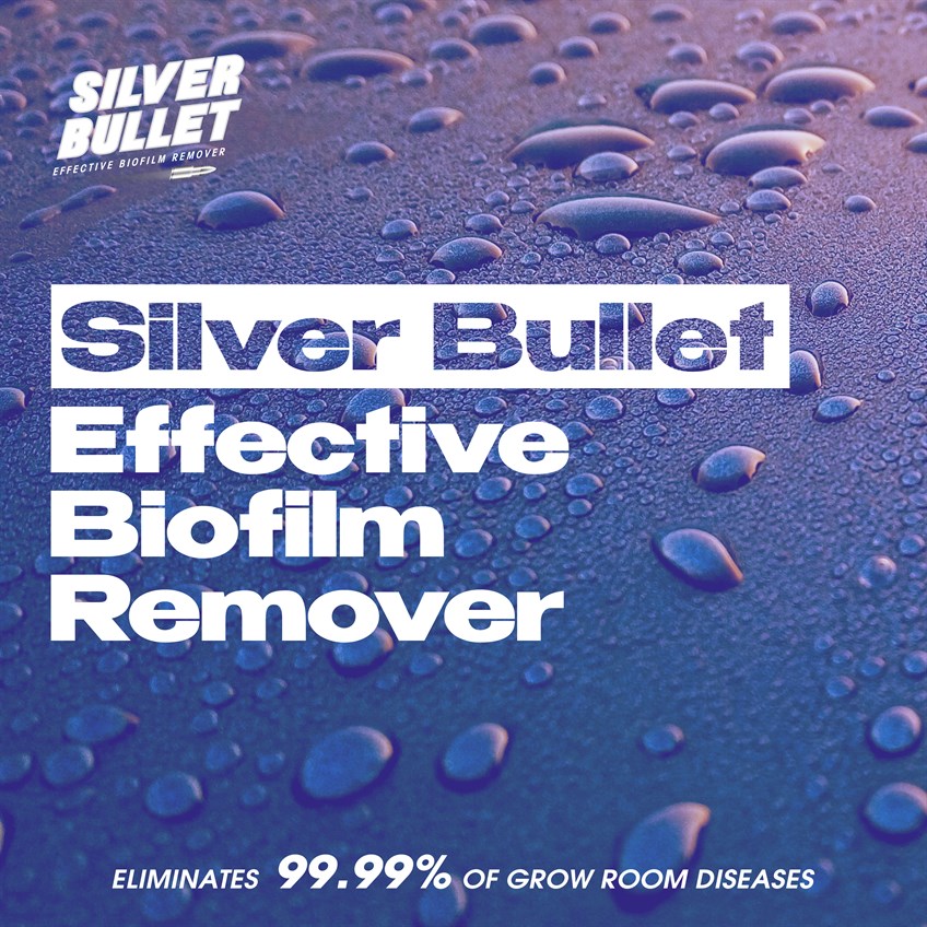 Silver Bullet - The Chlorine Free Solution for Your Garden