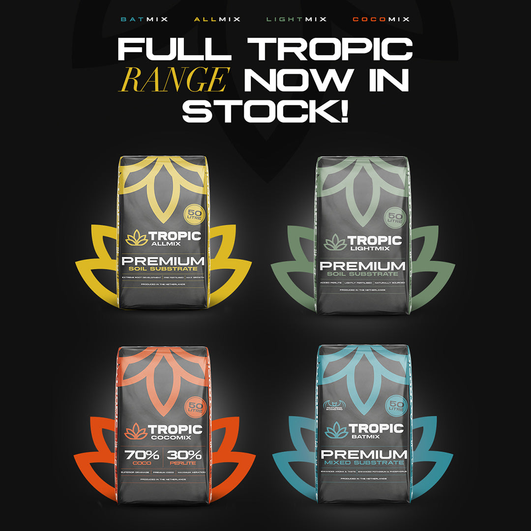 🌴🌪️ The Tropic Storm Has Arrived 🌪️🌴