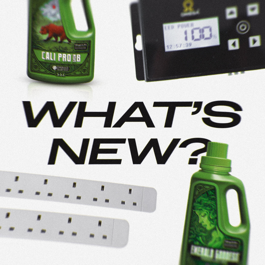 What’s New at Eden this March?