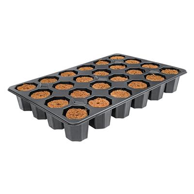 Orange plug-filled plant propagation tray with dark molded cells