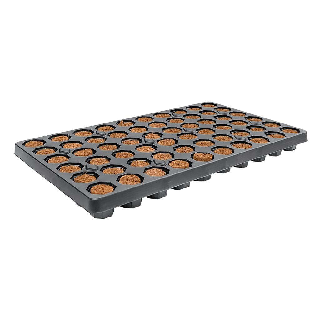 Orange peat plug-filled propagation tray with dark plastic cell base