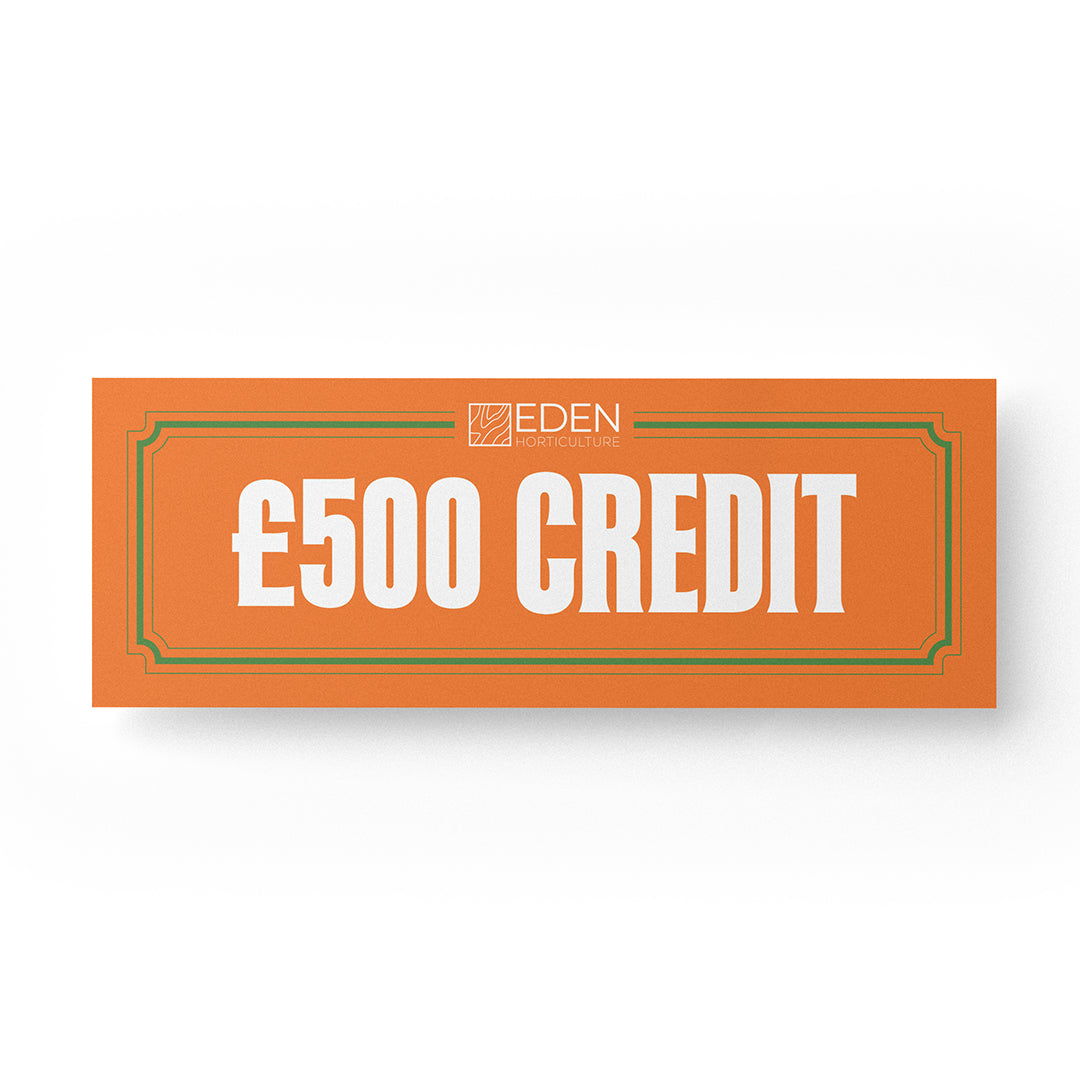 Orange Eden account credit card showing £500 CREDIT and Eden logo
