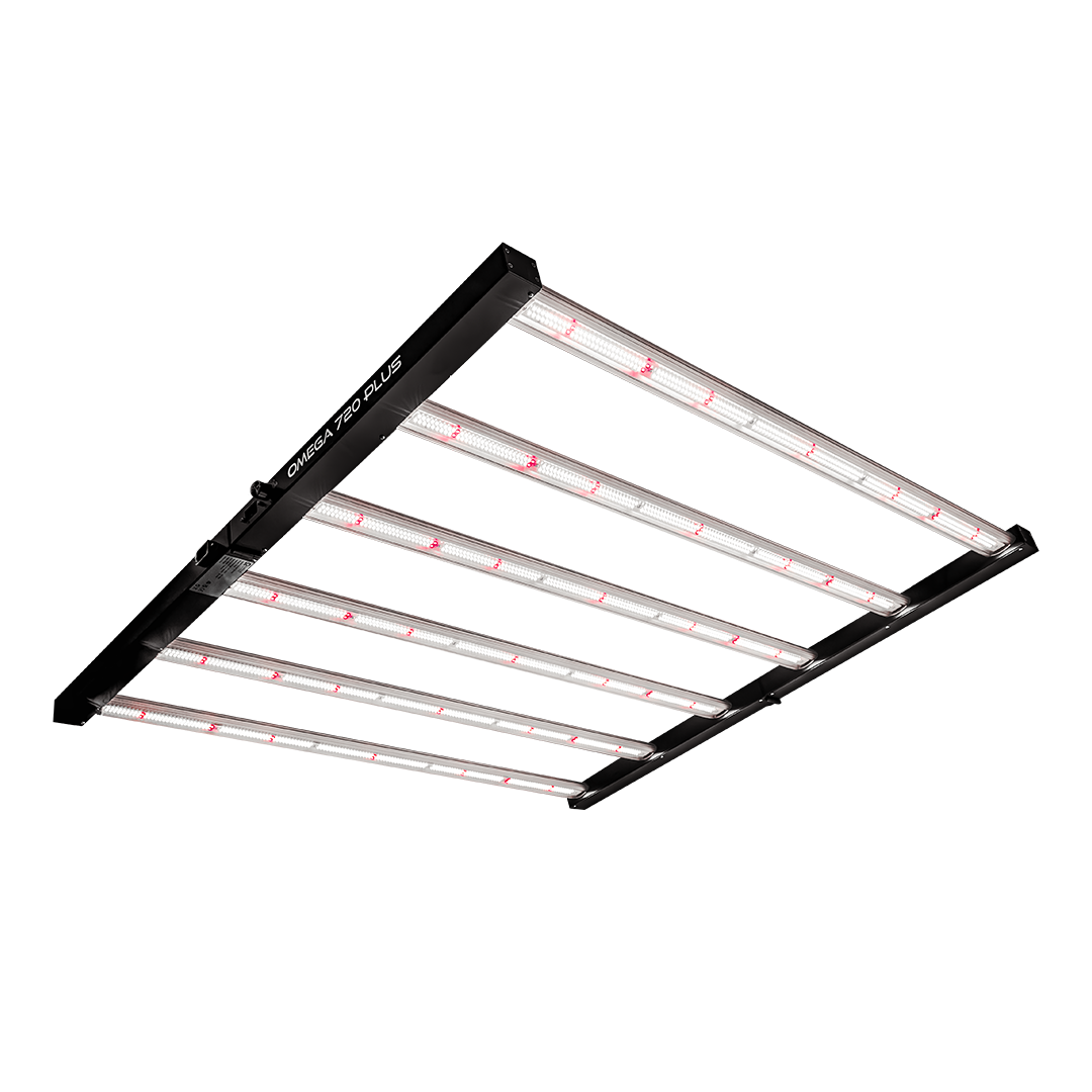 LED light fixture with multiple internal LED bars in black and silver frame