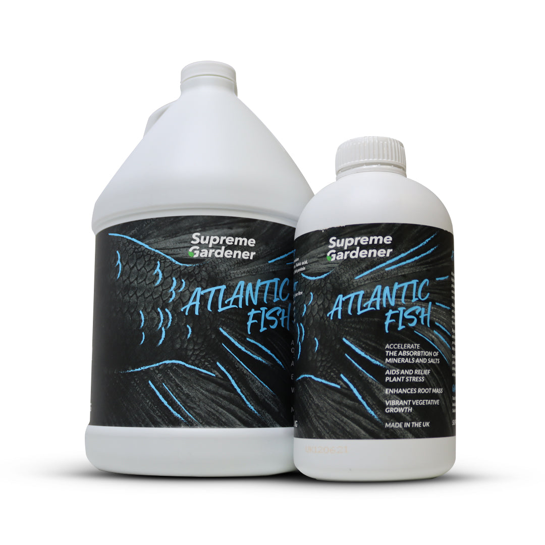 Supreme Gardener Atlantic fish fertiliser, two white bottles with black label and blue graphics
