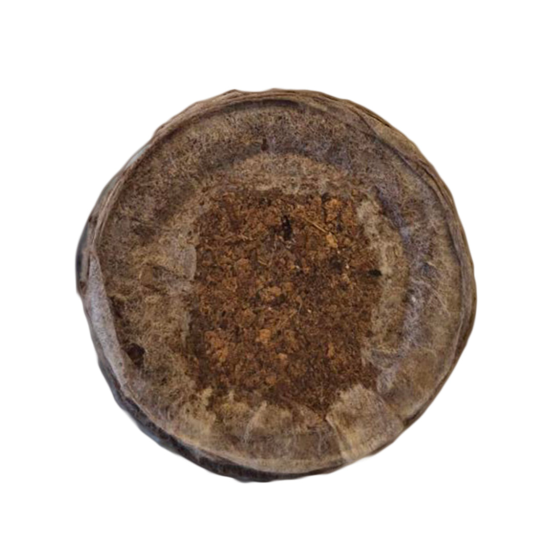 Round peat coir plug, dark brown, 39x39mm, flat top with mottled fiber texture