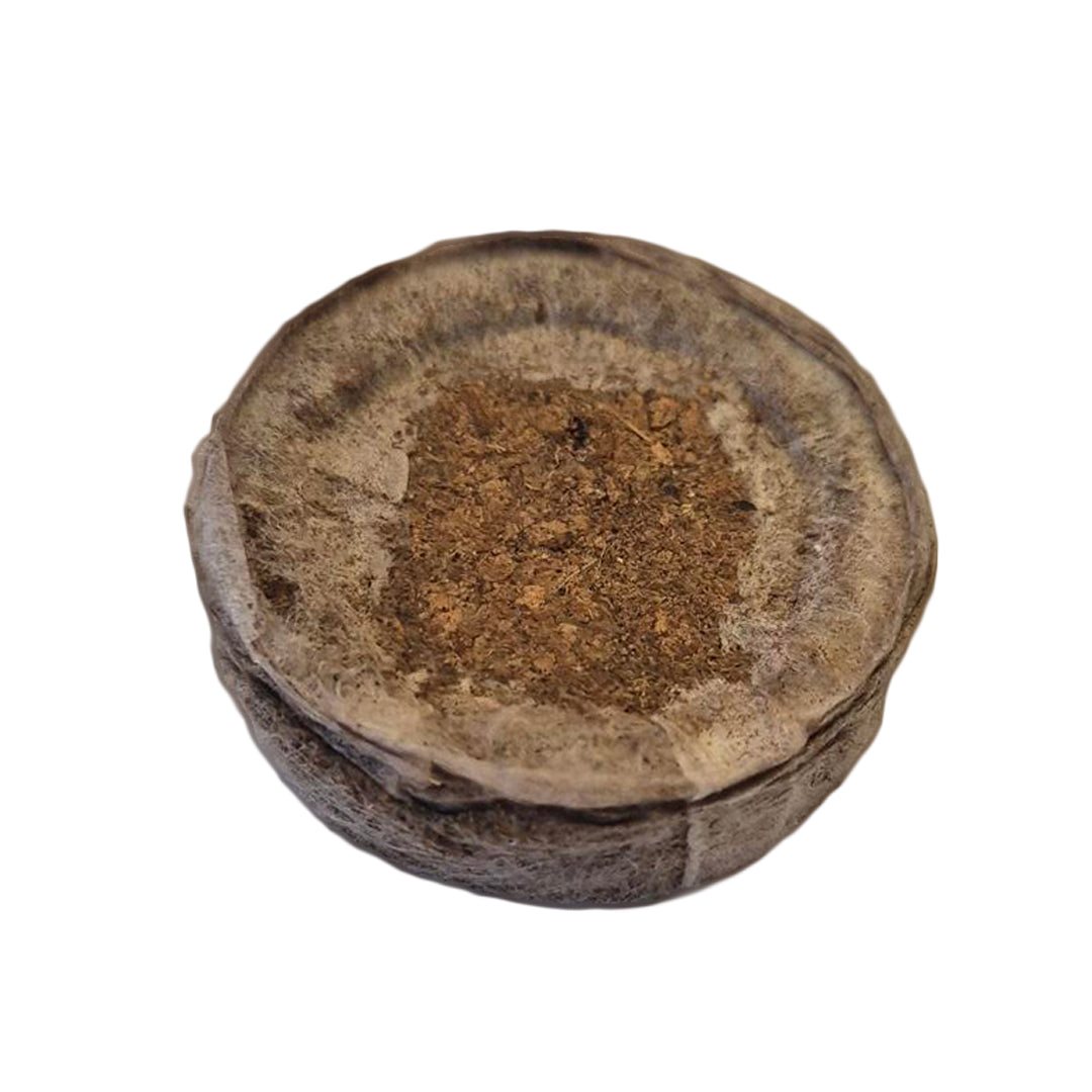 Round peat coir plug, 39x39mm, textured sides with brown coir peat surface