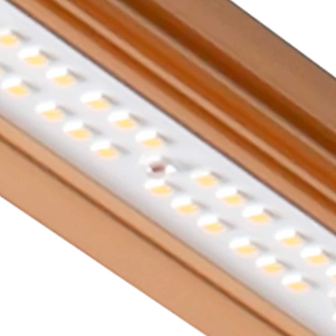 Close-up of white LED diodes on an orange LED strip