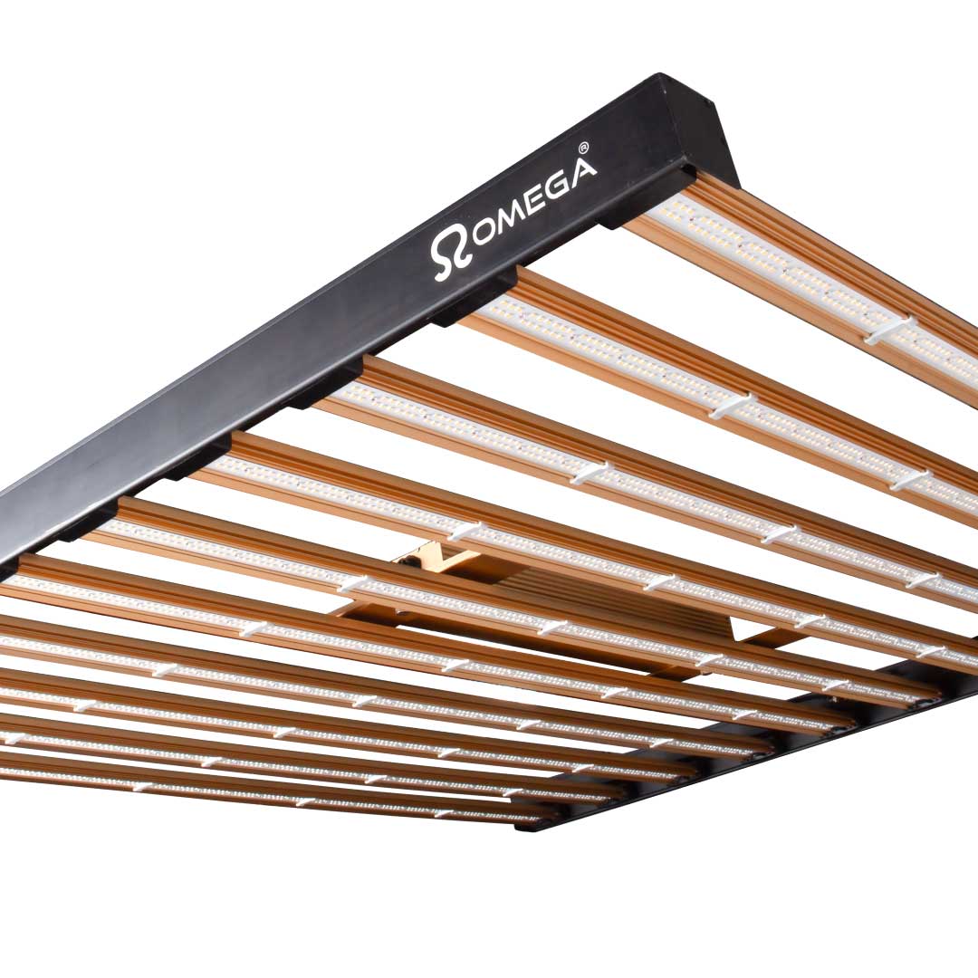 LED grow light fixture with black housing and multiple orange LED bars, front view