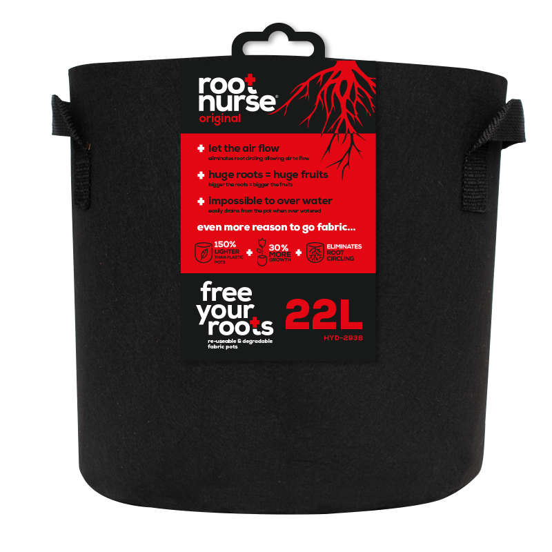 Wortelverpleegkundige zwarte pot