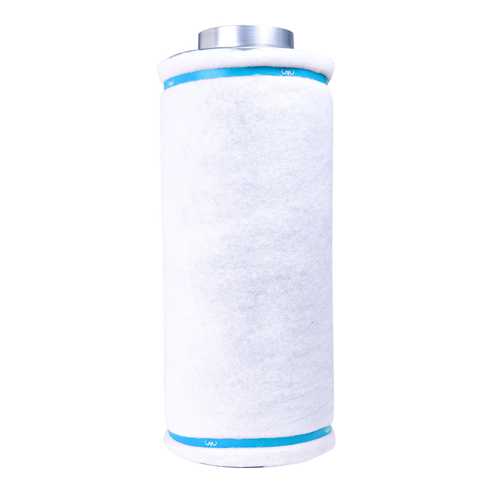 Carbon filter cartridge with white media, silver top cap and blue gasket band