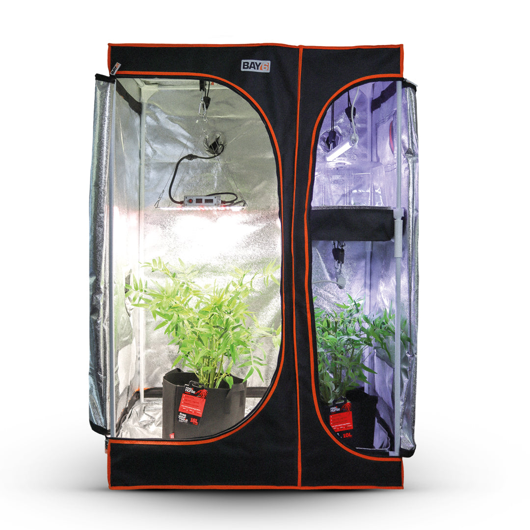 Bay6 multi-chamber grow tent kit, black tent with orange trim and two reflective chambers