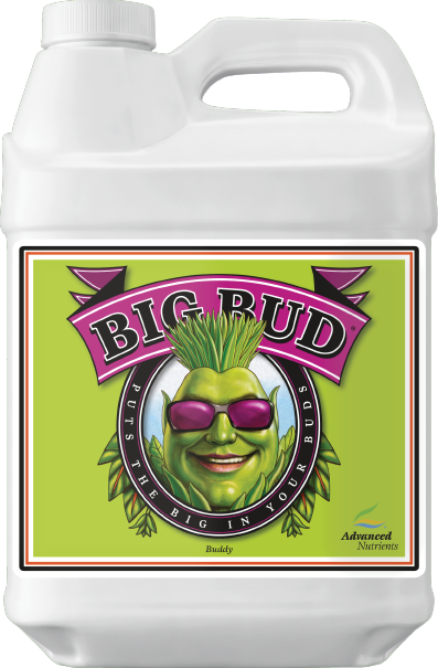 Fertilizer bottle with green Big Bud label, illustrated face, and white screw cap