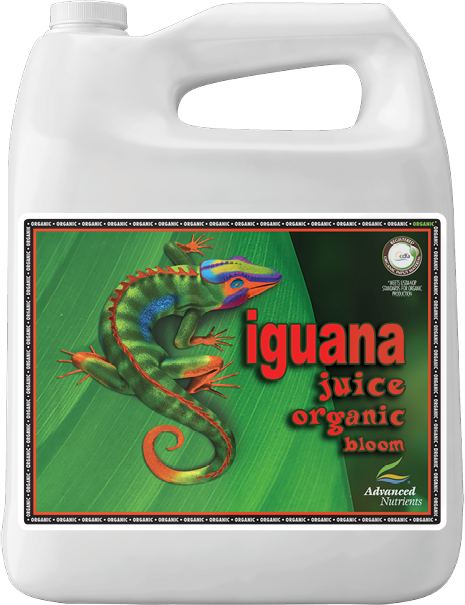 Geavanceerde voedingsstoffen Iguana Bloom