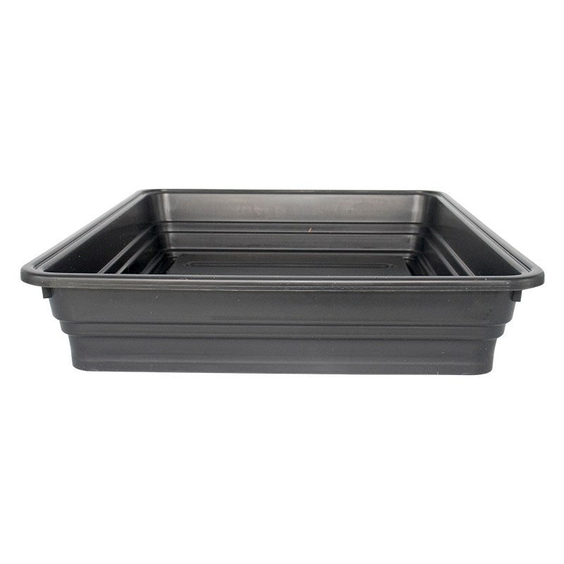 Rectangular black propagator base tray with raised rim