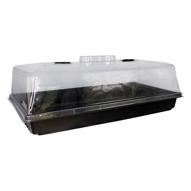 Garden propagator tray with clear lid and black base, vented top
