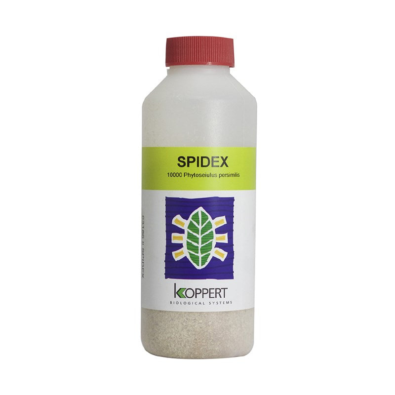 Spidex solution bottle with red cap and front label