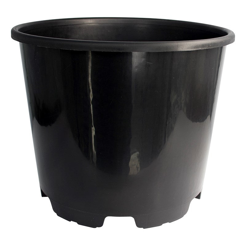 Black round plastic pot with smooth sides, wide top opening, base tabs.