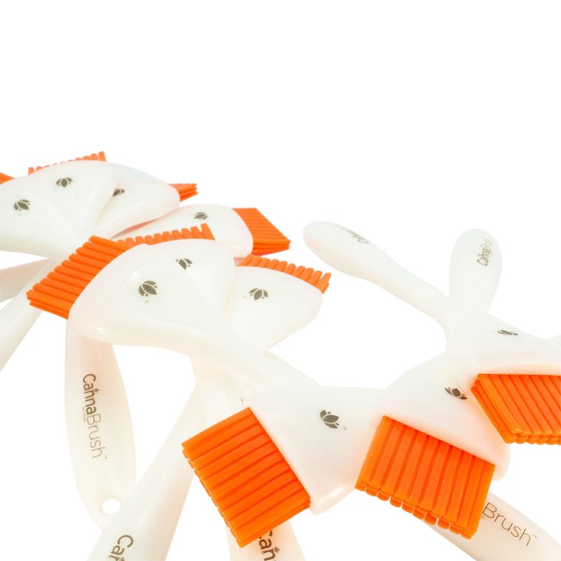 Bristle brushes bundled: white handles with orange comb tips