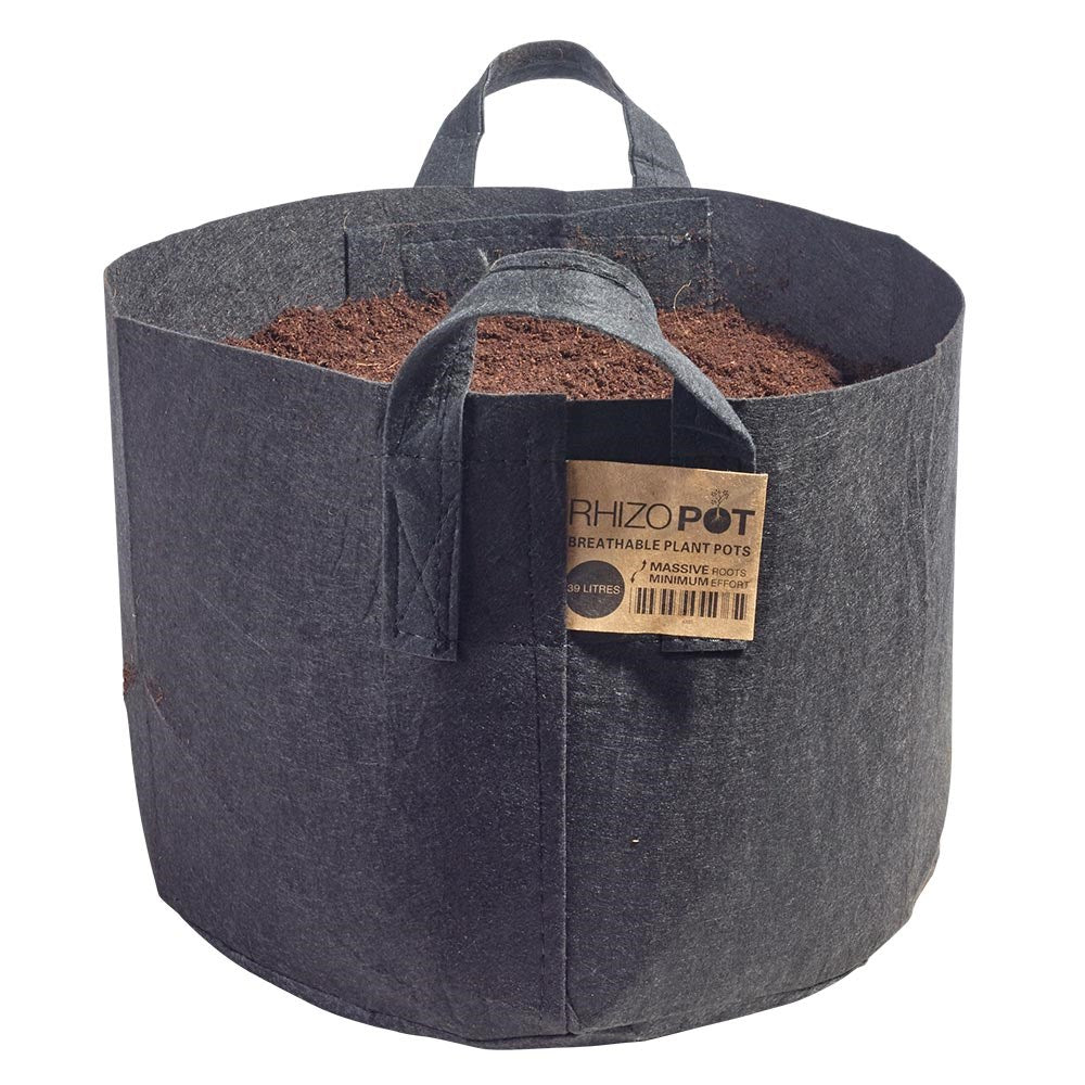 Dark gray breathable felt plant pot with carry handle, soil inside, front label