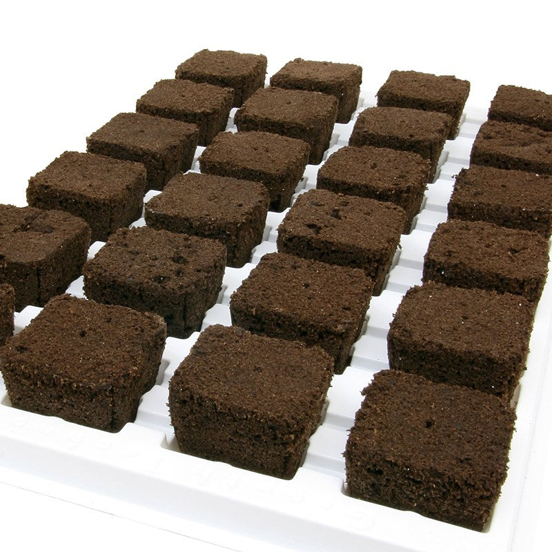 Root Riot grow cubes tray with dark brown square propagation blocks