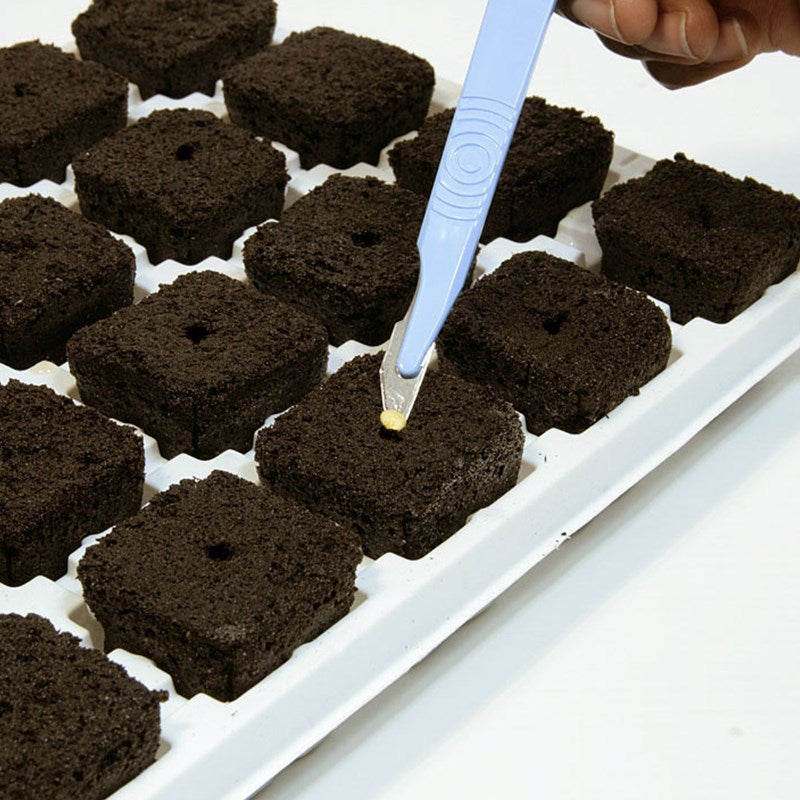 Person planting in dark Root Riot grow cubes using a small applicator tool